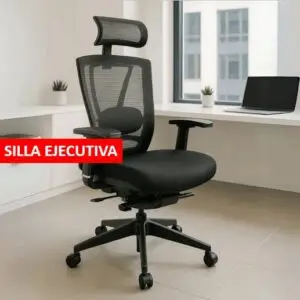 Ejecutiva